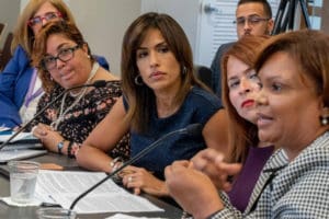 La procuradora de las mujeres Lersy Boria durante vista pública en el Senado