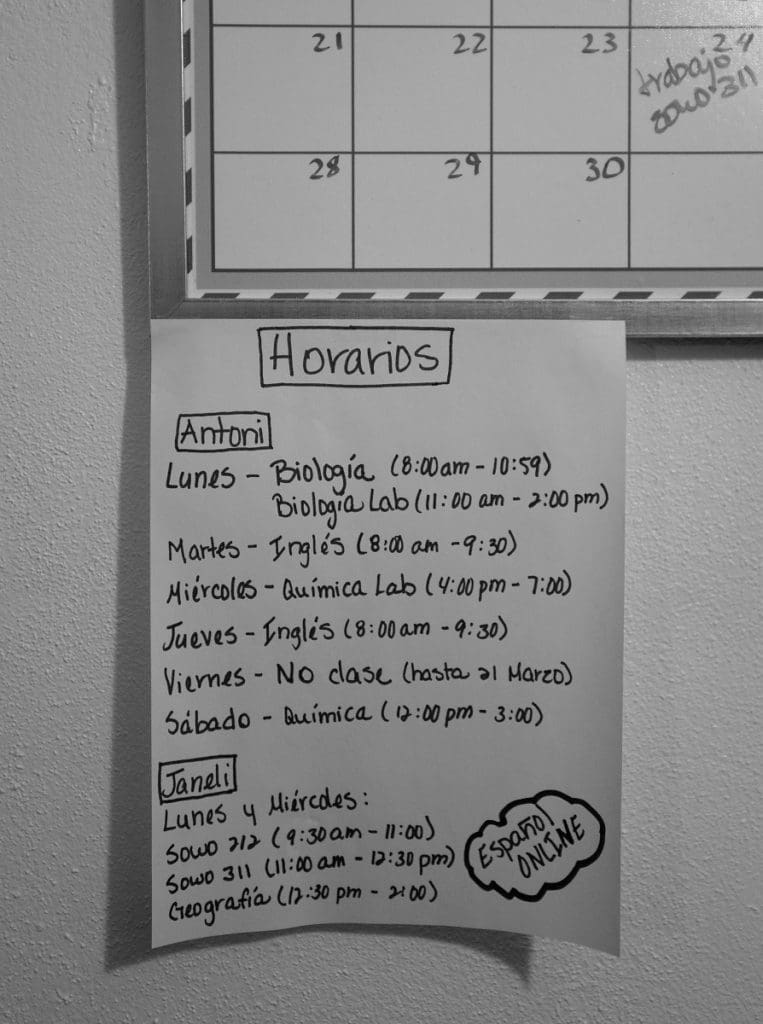 Maternidad Puerto Rico