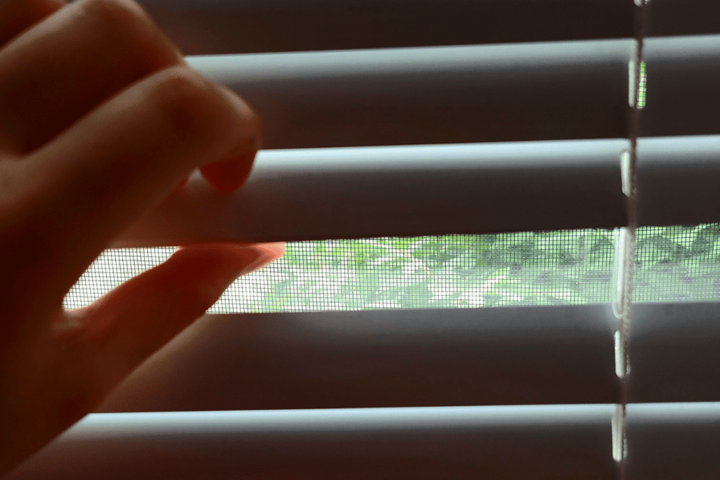 Piedras en la ventana_Laura Moscoso