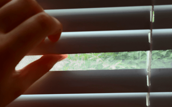 Piedras en la ventana_Laura Moscoso