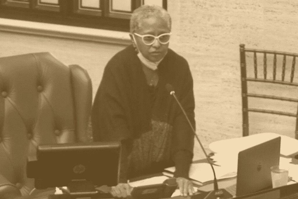 Ana Irma Rivera Lassén-Senado