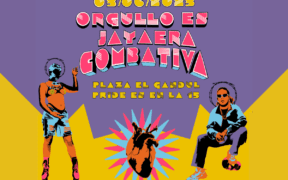 Orgullo es jayaera combativa-3