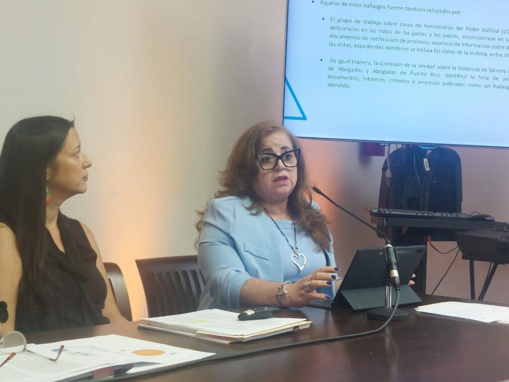 Carmen Lebrón, abogada de sobrevivientes de la violencia machista y exprocuradora de la Mujer, leyó una lista de recomendaciones a las autoridades.