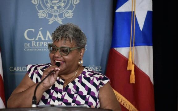 La representante Nelie Lebrón Robles.